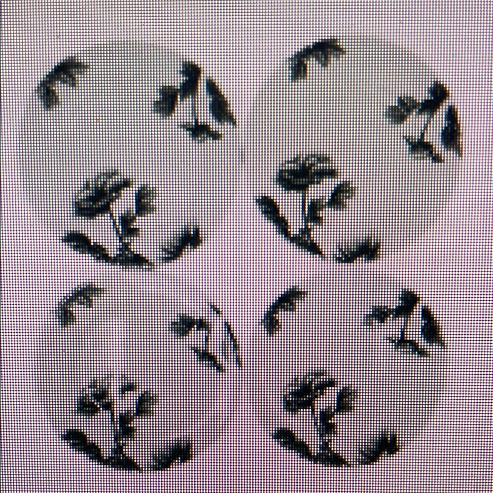 Floral Black and White Dinnerware Set